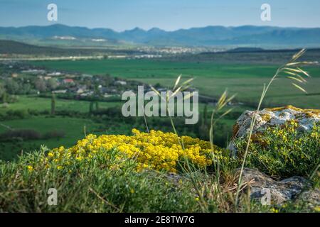 Frühlingslandschaft mit schöner Aussicht auf das grüne Tal und die Berge von der Spitze des Mount Aq Qaya. White Rock, Krim Stockfoto