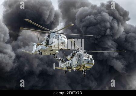Ein Merlin und Wildcat Hubschrauber der britischen Royal Navy In einer asualt Demo Stockfoto