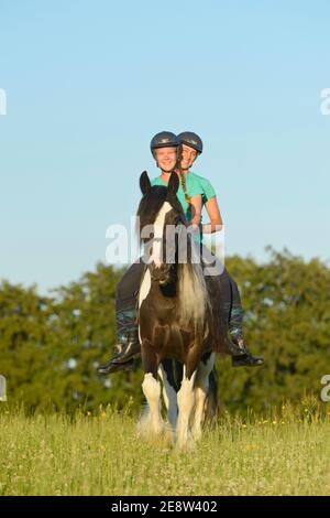 Zwei Mädchen reiten zusammen auf einem irischen Cob Pferd. Stockfoto