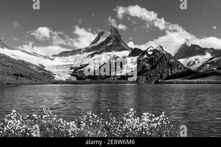 Blick auf den Sonnenaufgang auf die Berner Bergkette über dem Bachalpsee. Beliebte Touristenattraktion. Lage Ort Schweiz alpen, Grindelwald Tal, Europa Stockfoto