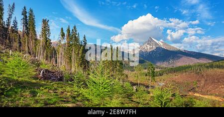 Wunderschöner Blick auf den Sonnenaufgang im Nationalpark hohe Tatra und Strbske pleso (Strbske See) wunderschöner Bergsee in der Slowakei Stockfoto