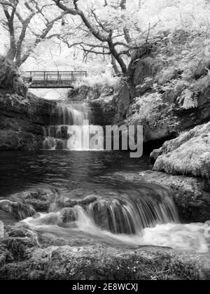 Die Sgydau Sychryd Falls im Bannau Brycheiniog (Brecon Beacons) National Park, Südwales. Stockfoto