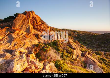 Cape Naturaliste in Australien Stockfoto