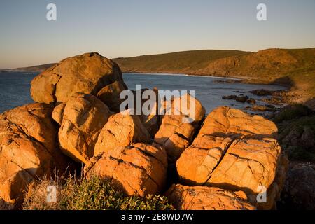 Cape Naturaliste in Australien Stockfoto