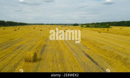 Luftaufnahme über ländliche Landschaft Drohne Bewegung Heuhaufen geerntet Feld Weizen Stroh. Heuernte, nach dem Mähen wird zum Stapel für die Lagerung gebildet. Sonniger Sommertag. Stockfoto