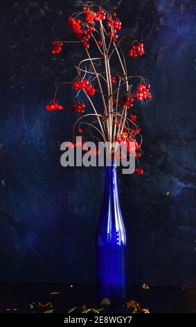 Zweige mit roten Früchten von Viburnum in einer blauen Vase auf schwarzem Hintergrund. Stockfoto