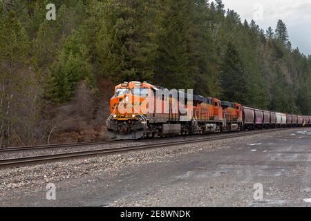 Eine BNSF-Lokomotive, die aus dem Norden in Richtung Troy, Montana, fährt. Die Lokomotive zieht eine Linie von abgedecktem Trichter Stockfoto