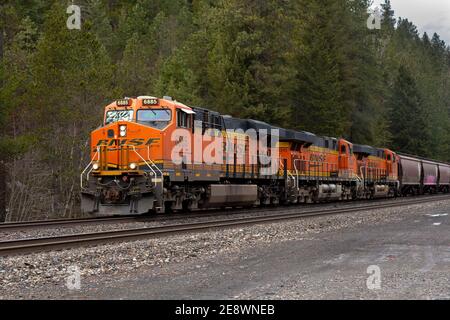 Eine BNSF-Lokomotive, die aus dem Norden in Richtung Troy, Montana, fährt. Die Lokomotive zieht eine Linie von abgedecktem Trichter Stockfoto