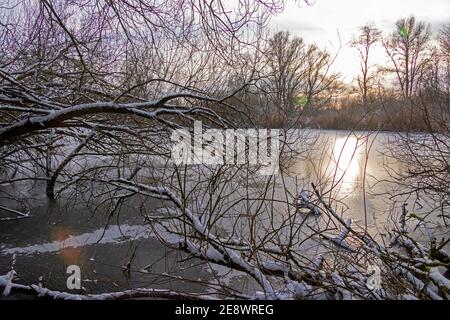 Schneebedeckte Bäume, Sonnenuntergang, Elbtalaue, Schnakenbek, Schleswig-Holstein, Deutschland Stockfoto