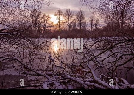 Schneebedeckte Bäume, Sonnenuntergang, Elbtalaue, Schnakenbek, Schleswig-Holstein, Deutschland Stockfoto