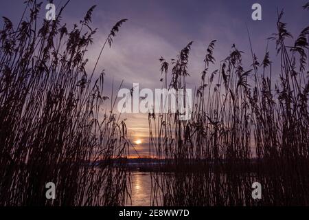 Sonnenuntergang, Elbtalaue, Schnakenbek, Schleswig-Holstein, Deutschland Stockfoto