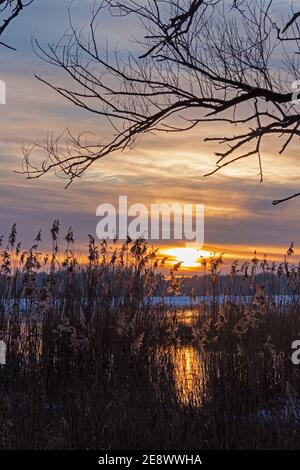 Sonnenuntergang, Elbtalaue, Schnakenbek, Schleswig-Holstein, Deutschland Stockfoto