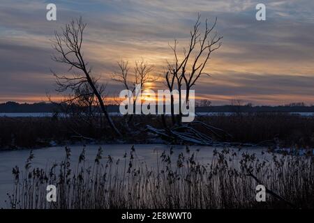 Sonnenuntergang, Elbtalaue, Schnakenbek, Schleswig-Holstein, Deutschland Stockfoto