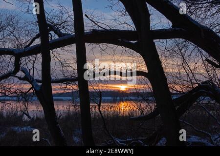 Sonnenuntergang, Elbtalaue, Schnakenbek, Schleswig-Holstein, Deutschland Stockfoto