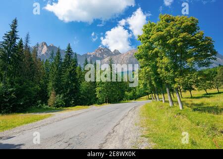 Asphaltstraße durch bewaldete Berge. Schöne Landschaft Transport Hintergrund. Composite-Landschaft mit hohen tatra Kamm in der Ferne. S Stockfoto