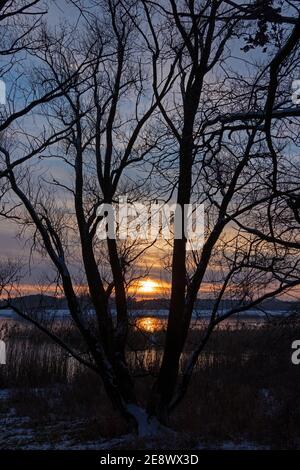 Sonnenuntergang, Elbtalaue, Schnakenbek, Schleswig-Holstein, Deutschland Stockfoto