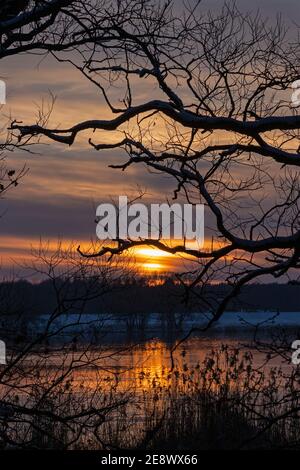 Sonnenuntergang, Elbtalaue, Schnakenbek, Schleswig-Holstein, Deutschland Stockfoto