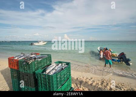 Kisten voller Fische am Meer, Fischer mit ihrem Boot im Hintergrund. Karibikinsel, Mexiko Stockfoto
