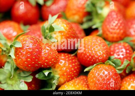 Reife Erdbeeren mit Blättern im Supermarkt. Frische Beerenernte für den Hintergrund Stockfoto