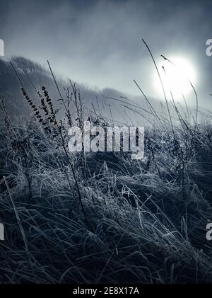 Am frühen Morgen winterlicher Nebel und Frost. Ein Blick auf Ditchling Beacon in den South Downs bei Dawn. Stanmer Great Wood National Park, East Sussex, England Großbritannien Stockfoto