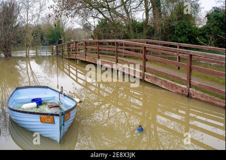 Shiplake, Oxfordshire, Großbritannien - 1. Februar 2021.überflutete Felder in der Nähe von Shiplake Lock. Für die Schalenwerk- und die untere Schalenwerk ist eine Überschwemmungswarnung vorhanden. Es wird mit einer Überschwemmung des Grundstücks gerechnet, da der Wasserspiegel an der Themse weiter ansteigt. Für die kommenden Wochen werden weitere Niederschläge prognostiziert. Quelle: Maureen McLean/Alamy Live News Stockfoto