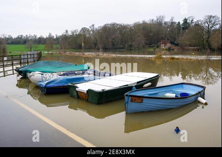 Shiplake, Oxfordshire, Großbritannien - 1. Februar 2021.überflutete Felder in der Nähe von Shiplake Lock. Für die Schalenwerk- und die untere Schalenwerk ist eine Überschwemmungswarnung vorhanden. Es wird mit einer Überschwemmung des Grundstücks gerechnet, da der Wasserspiegel an der Themse weiter ansteigt. Für die kommenden Wochen werden weitere Niederschläge prognostiziert. Quelle: Maureen McLean/Alamy Live News Stockfoto