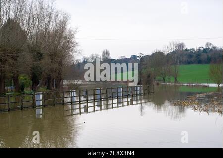 Shiplake, Oxfordshire, Großbritannien - 1. Februar 2021.überflutete Felder in der Nähe von Shiplake Lock. Für die Schalenwerk- und die untere Schalenwerk ist eine Überschwemmungswarnung vorhanden. Es wird mit einer Überschwemmung des Grundstücks gerechnet, da der Wasserspiegel an der Themse weiter ansteigt. Für die kommenden Wochen werden weitere Niederschläge prognostiziert. Quelle: Maureen McLean/Alamy Live News Stockfoto