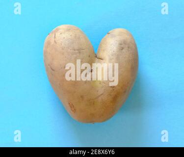 Herzförmige unförmige Kartoffel auf blau Stockfoto