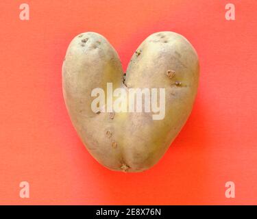 Herzförmige unförmige Kartoffel auf rot Stockfoto