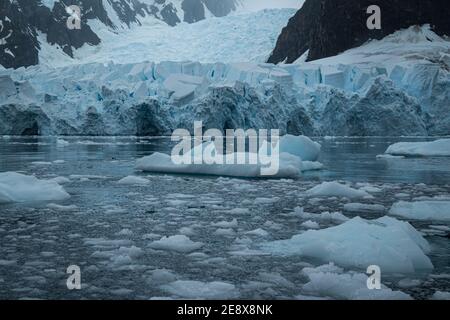 Petzval-Gletscher, Skontorp Cove, Antarktis Stockfoto