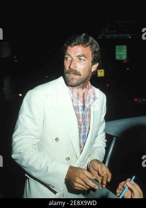 Tom Selleck 1982 Quelle: Ralph Dominguez/MediaPunch Stockfoto