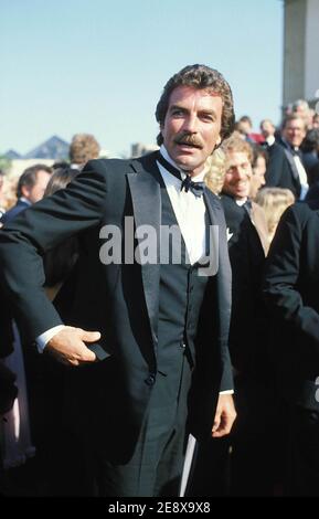 Tom Selleck 1982 Quelle: Ralph Dominguez/MediaPunch Stockfoto