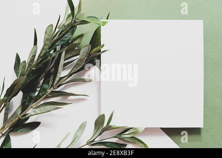 Weißes Blatt Papier, Eukalyptuszweig und lange Schatten. Leere Postkartenmockup. Flach lag auf dem grünen Hintergrund in Sonnenlicht, Draufsicht. Stockfoto