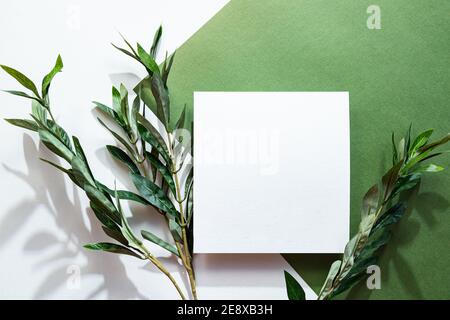 Weißes Blatt Papier, Eukalyptuszweig und lange Schatten. Leere Postkartenmockup. Flach lag auf dem grünen Hintergrund in Sonnenlicht, Draufsicht. Stockfoto