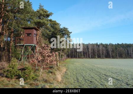 Eine Jagdhütte im Wald mit Blick über das Feld. Das Gras ist mit Reif bedeckt. Blauer Himmel Stockfoto