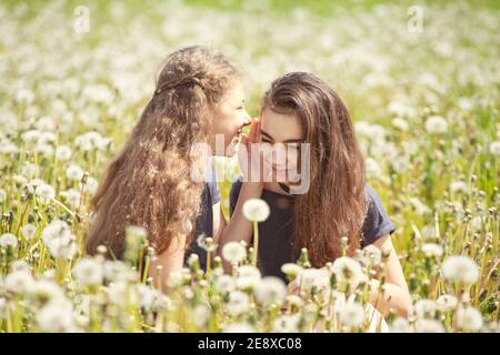 Freunde, Mädchen im Teenageralter auf einem Spaziergang mit ihrer Schwester und ihrem Hund in einem Sommerfeld mit Elendsan, sonniger Tag Stockfoto