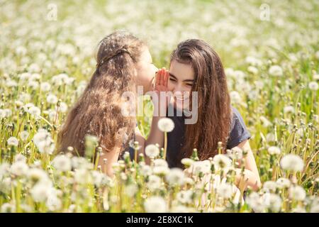 Freunde, Mädchen im Teenageralter auf einem Spaziergang mit ihrer Schwester und ihrem Hund in einem Sommerfeld mit Elendsan, sonniger Tag Stockfoto