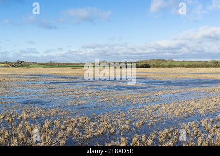 Überflutetes Feld nach Regensturm Cherry Willingham Lincoln Januar 2021 Stockfoto