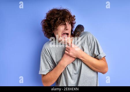 Verspielte Ratte auf der Hut der Mann, lockig kaukasischen Kerl stehen kann sich nicht bewegen, dekorative Ratte kriecht auf seinem T-Shirt Stockfoto