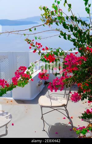 schöne Details der Insel Santorini, Griechenland Stockfoto