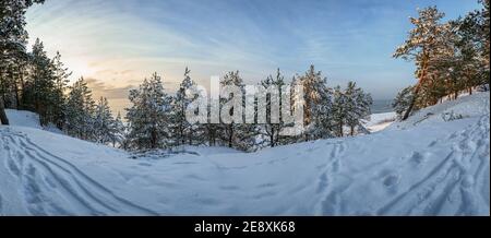 Blick auf gefrorenen verschneiten Wald mit schneebedeckten Fichten, Tannen und Pinien an der Küste. Stockfoto