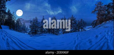 Magische Winternacht mit Vollmond und gefrorenen bedeckt mit Schnee Tannen und Fichten im Winter. Sternenklare Nacht. Verschneiten Wald bei Nacht im Mondlicht. Stockfoto