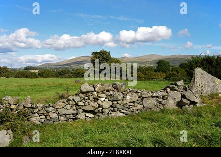 Eine alte Trockensteinmauer in Feldern bei Tregarth in Nordwales nahe der nördlichen Grenze des Snowdonia National Park. Stockfoto