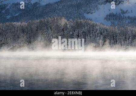 Nebel auf gefrorenem Wasser des Sils-Sees und mit Schnee bedeckter Winterwald, Kanton Graubünden, Engadin, Schweiz Stockfoto