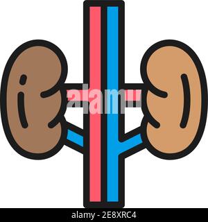 Nieren, Knospen, menschliches Organ, Urologie flache Farblinie Symbol. Stock Vektor