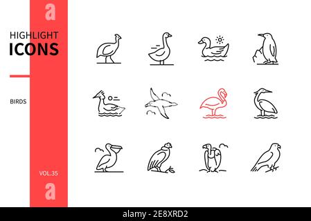 Bird Species - moderne Linie Design Stil Symbole gesetzt. Schwarzweißbilder. Helmeted Guineafowl, Gans, Ente, Pinguin, Großcrementeiher, Albatross, Stock Vektor