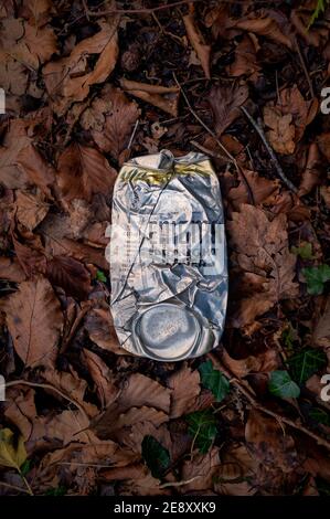 Abgeflachte Bierkrüge von Enigma Dreaught Lager auf einem Stapel toter Blätter. Stockfoto
