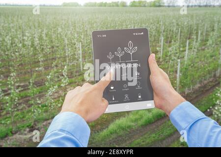 Futuristische Technoogien in der Landwirtschaft. Agronom mit SMART GARDEN App auf Tablet-pc, um die Wachstumsparameter der Anlage zu steuern Stockfoto
