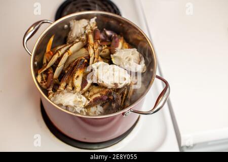 Dungeness Krabbenbeine werden in einen großen, kochenden Topf mit Wasser gegeben, um gedämpft und gekocht zum Abendessen gegessen zu werden Stockfoto