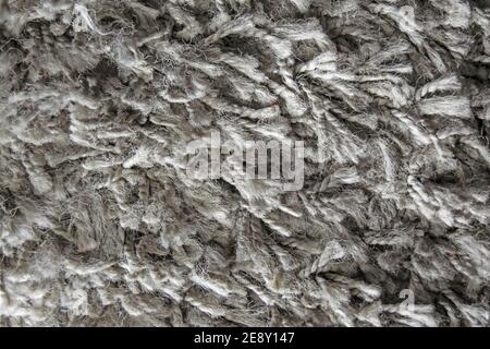 Textur von langen Haar Teppich in grau, Pelz Textur Nahaufnahme für Designer Stockfoto